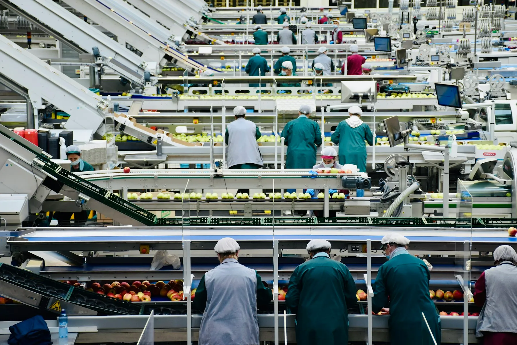 Cannery and food processing workforce
